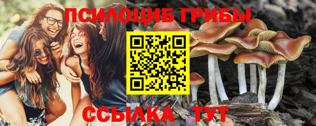 Галлюциногенные грибы мухоморы  Вход с VPN  как найти   Славгород 