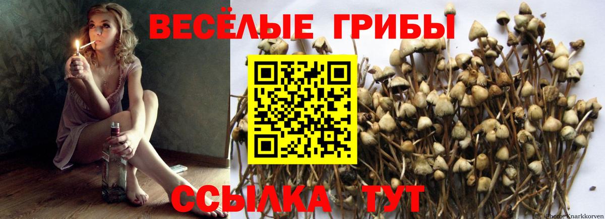 Галлюциногенные грибы Magic Shrooms Славгород
